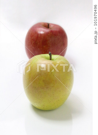 白バックでライティングしたりんご、王林とふじ 101970496