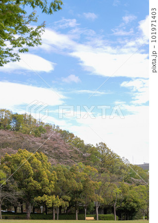 草原とやま 草原とやま 101971403