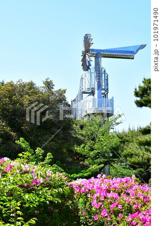 春の桃山公園 春の桃山公園 101971490