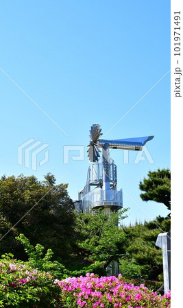 春の桃山公園 春の桃山公園 101971491
