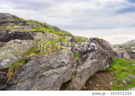 steep slopes of fagaras mountains, romania. rocks and boulders among the grass. foggy weather. mysterious adventures 101972243