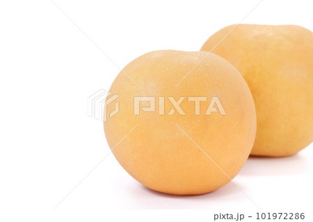 梨　ナシ　2個　明るい背景　秋の味覚 101972286