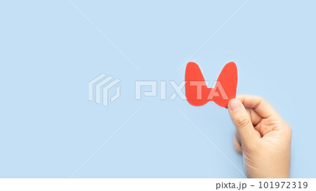 World Thyroid Day concept. Human hand holding thyroid gland shape made from paper on blue background. Awareness of thyroid disease such as hyperthyroidism, hypothyroidism and thyroiditis. 101972319