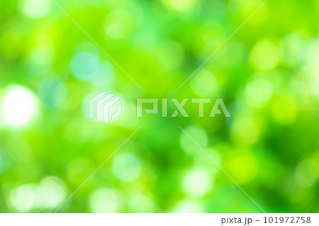 背景素材・緑の光線 玉ボケ 背景素材・緑の光線 玉ボケ 101972758
