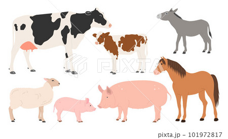 Artiodactyls Artiodactyls 101972817