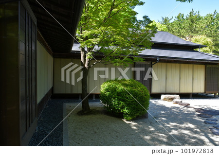 春の大倉公園 101972818