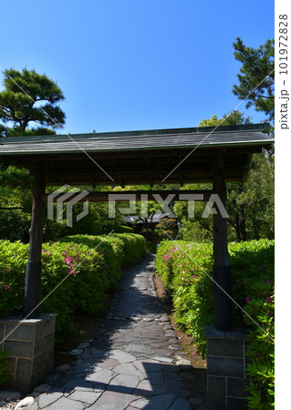 春の大倉公園 101972828