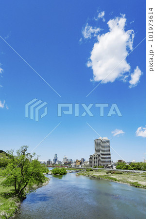 仙台市全景 仙台市全景 101973614