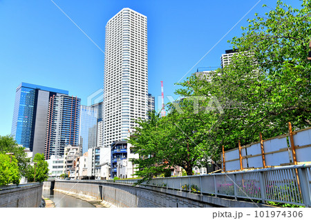 菖蒲橋/神田川より西新宿五丁目北地区周辺を望む(東京都新宿区)【2023.4】 菖蒲橋/神田川より西新宿五丁目北地区周辺を望む(東京都新宿区)【2023.4】 101974306