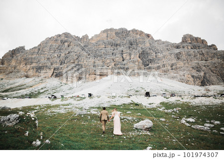 Wedding couple holding hands, groom and bride together on wedding day 101974307
