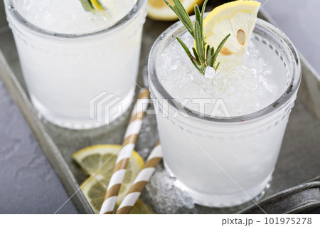 Lemon rosemary cocktail on a tray 101975278