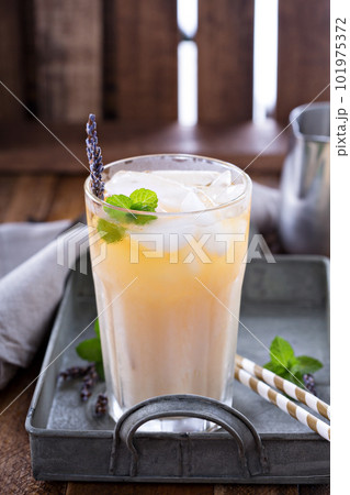 Lavender iced tea in tall glass Lavender iced tea in tall glass 101975372