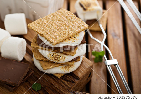 Picnic dessert smores with marshmallows 101975578