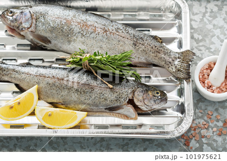 Rainbow trout ready to be grilled Rainbow trout ready to be grilled 101975621