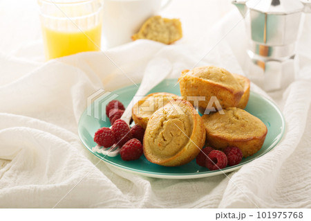 Healthy gluten free quinoa muffins 101975768