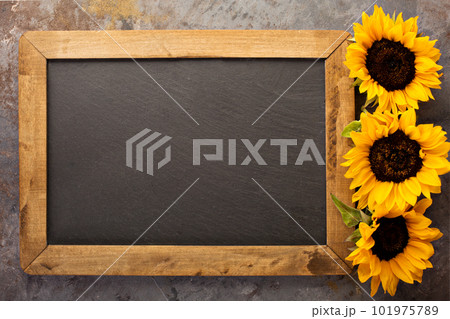 Fall chalkboard frame with pumpkins Fall chalkboard frame with pumpkins 101975789