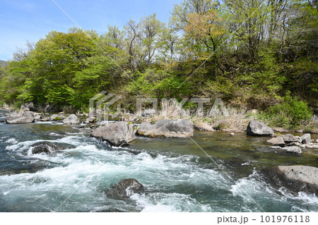 那珂川 清流の風景【栃木県那須塩原市】 那珂川 清流の風景【栃木県那須塩原市】 101976118