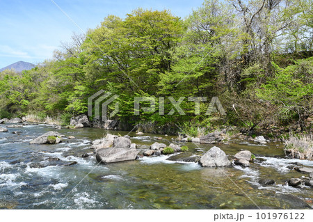 那珂川 清流の風景【栃木県那須塩原市】 那珂川 清流の風景【栃木県那須塩原市】 101976122
