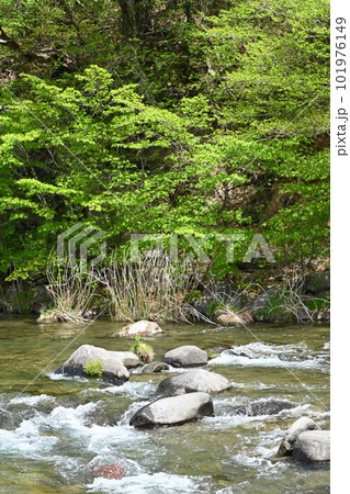 那珂川 清流の風景【栃木県那須塩原市】 那珂川 清流の風景【栃木県那須塩原市】 101976149