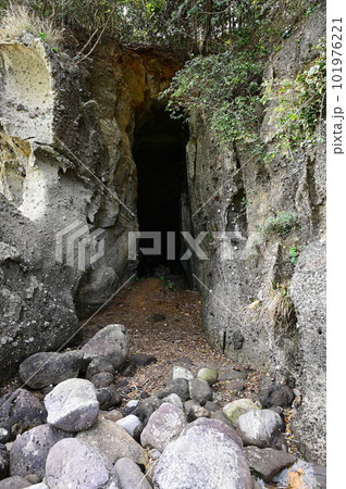 自然が作り上げた佐潟の洞窟 101976221