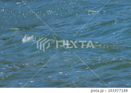 波の揺らぎ 101977188