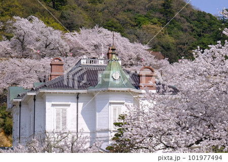 仁風閣と桜・鳥取市 仁風閣と桜・鳥取市 101977494