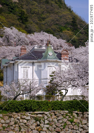仁風閣と桜・鳥取市 仁風閣と桜・鳥取市 101977495