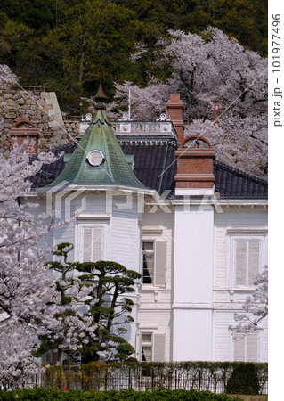 仁風閣と桜・鳥取市　 101977496