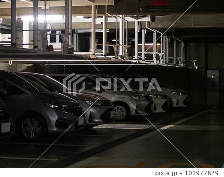 夜の駐車場に停められた自動車 101977829
