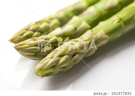 新鮮で美味しいアスパラ 101977835