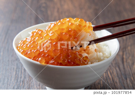 いくらご飯 いくらご飯 101977854