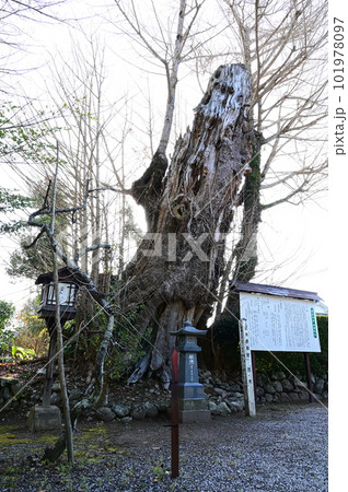 大河ドラマ篤姫のロケ地に使われた鹿児島県出水市の武家屋敷群 101978097