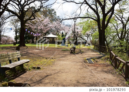 佐野市 城山公園(佐野城跡)本丸散策路と東屋 佐野市 城山公園(佐野城跡)本丸散策路と東屋 101978293