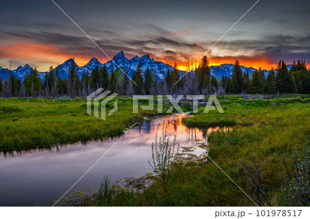 Sunset over Schwabacher Landing in Grand Teton National Park, Wyoming 101978517