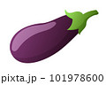 Eggplant isolated on white background 101978600