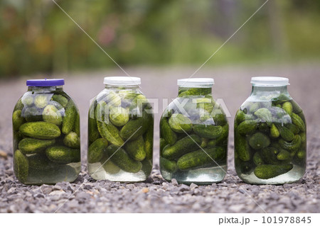 Big glass jars with green fresh pickles cucumbers salted in marinade on abstract blurred background. Big glass jars with green fresh pickles cucumbers salted in marinade on abstract blurred background. 101978845