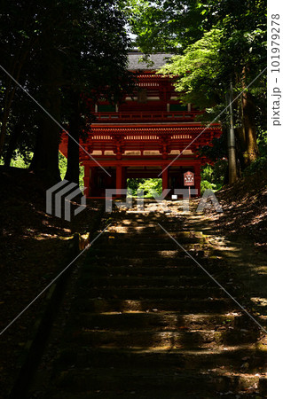 光明寺の二王門 光明寺の二王門 101979278