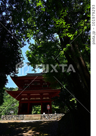 光明寺の二王門 光明寺の二王門 101979293