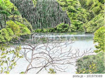 新緑に囲まれた初夏の向道湖 101979389