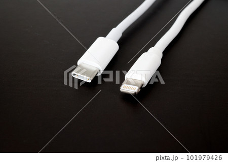 Lightningケーブルとtype-c 101979426