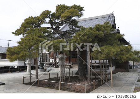 しばられ地蔵　業平山　南蔵院 101980162