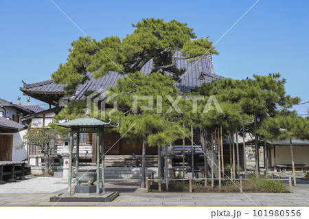 しばられ地蔵　業平山　南蔵院 101980556