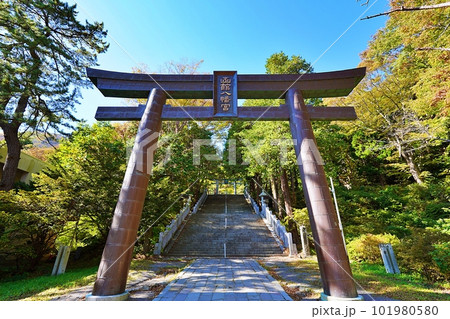 函館八幡宮の鳥居 101980580