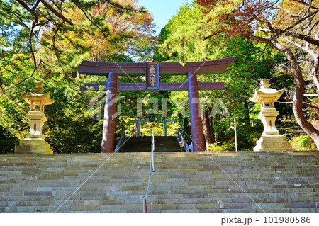 函館八幡宮の鳥居 函館八幡宮の鳥居 101980586