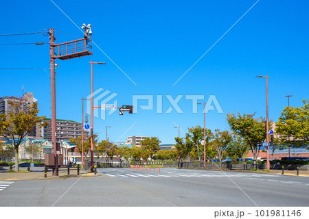 福岡県福岡市西区豊浜マリナタウン南の信号付近の景色　マリナ通り 101981146