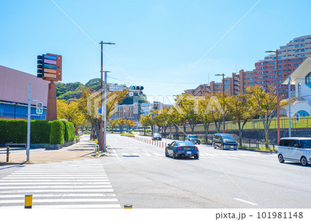 福岡県福岡市西区豊浜マリナタウン入口の信号付近の景色　マリナ通り 101981148