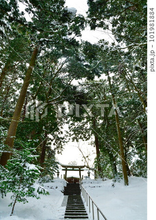 雪の旦飯野神社(新潟県) 雪の旦飯野神社(新潟県) 101981884