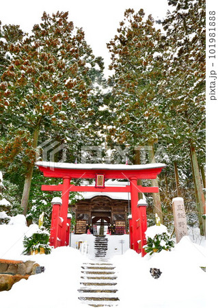 雪の旦飯野神社（新潟県） 101981888