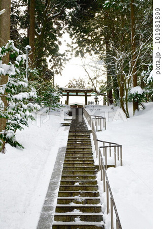 雪の旦飯野神社(新潟県) 雪の旦飯野神社(新潟県) 101981899