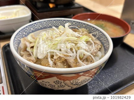 ネギ豚丼 ネギ豚丼 101982429